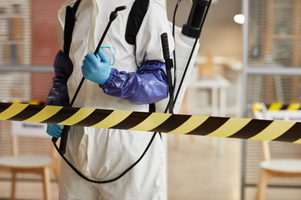 Professional Sewage Cleanup technician working in Santa Paula, CA